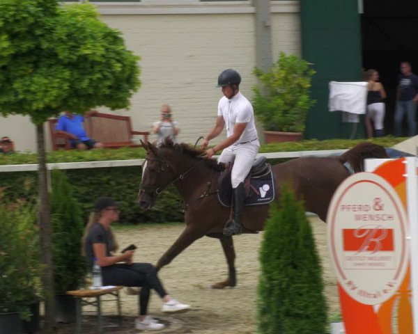 Reitturnier St.Wendel, Gestüt Welvert 2022
