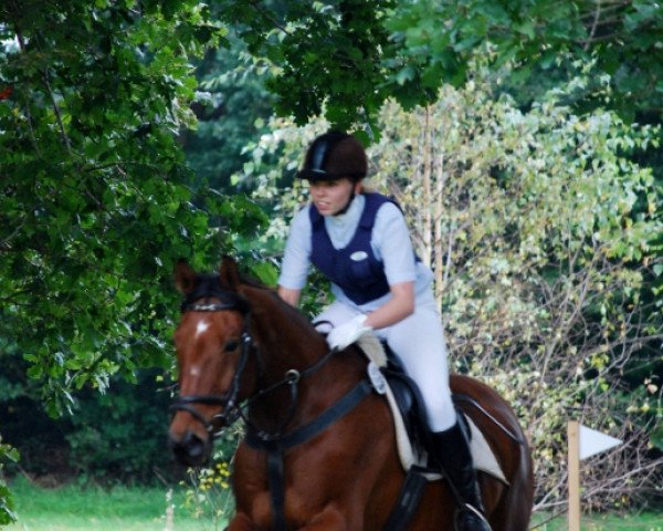 horse Taifun (Trakehner, 1994)
