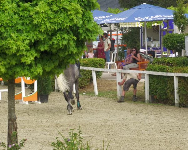 Reitturnier St.Wendel, Gestüt Welvert 2022