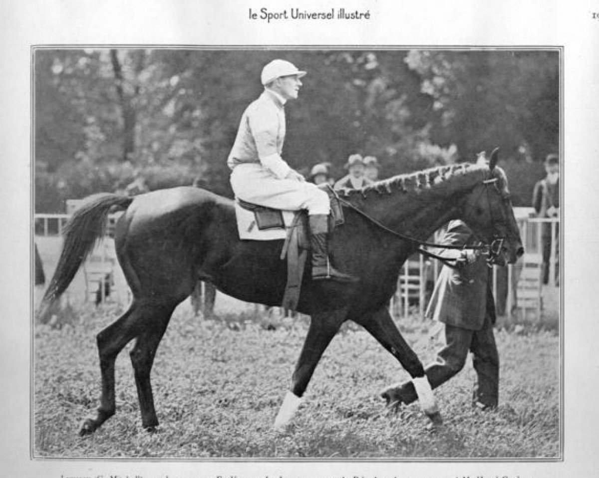 Deckhengst Lignite xx (Englisches Vollblut, 1919, von Ex Voto xx)
