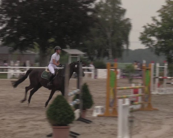 Reitturnier Dortmund-Asseln 2022
