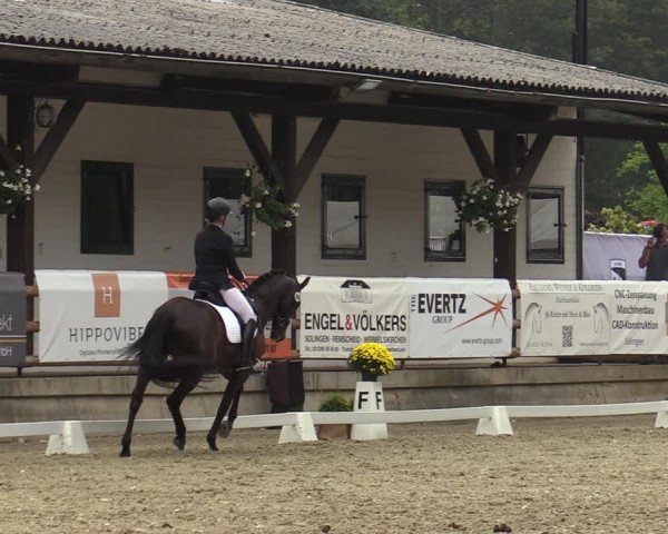 Reitturnier Solingen 2022