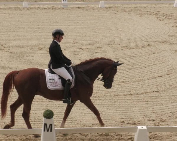 Reitturnier Bübinger Hof 2022