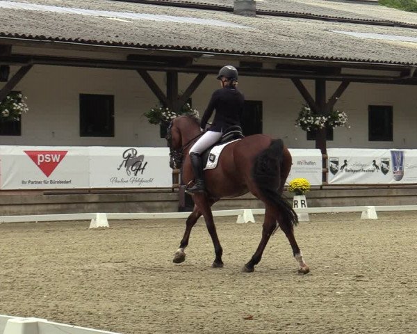 Reitturnier Solingen 2022