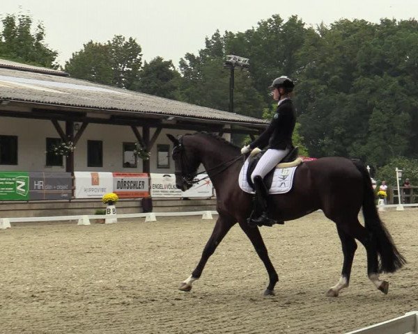 Reitturnier Solingen 2022