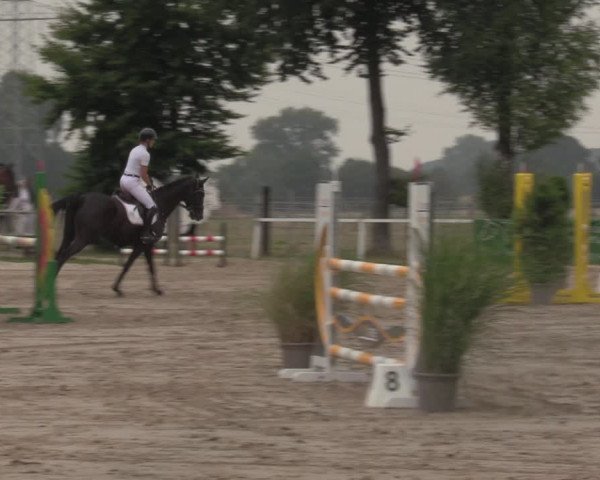 Reitturnier Dortmund-Asseln 2022