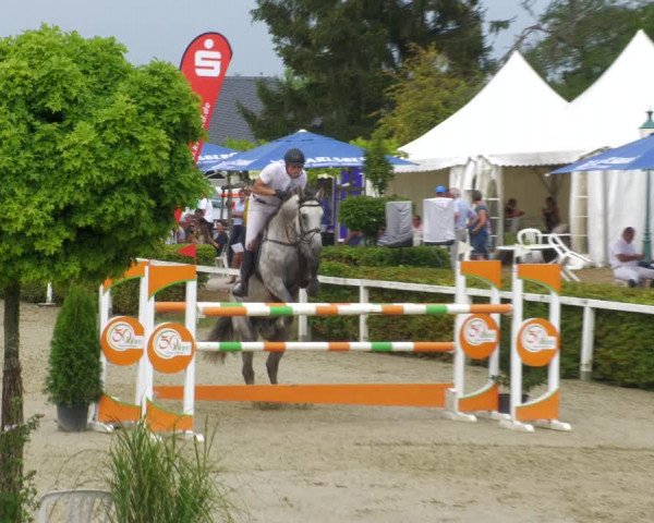 Reitturnier St.Wendel, Gestüt Welvert 2022