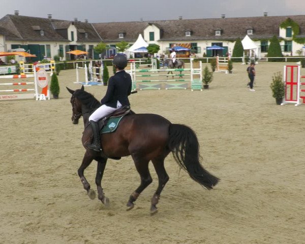 Reitturnier St.Wendel, Gestüt Welvert 2022