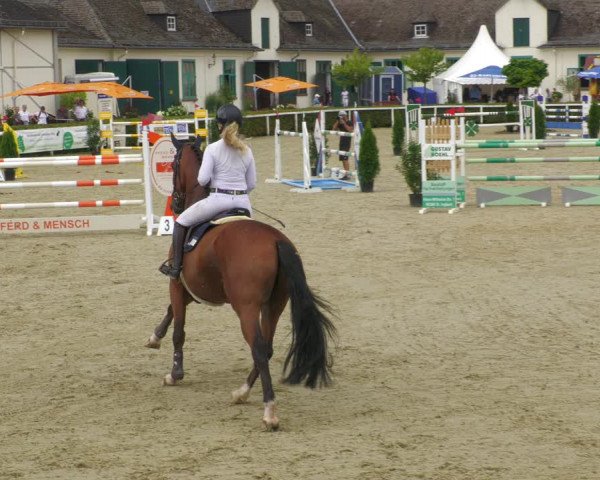 Reitturnier St.Wendel, Gestüt Welvert 2022