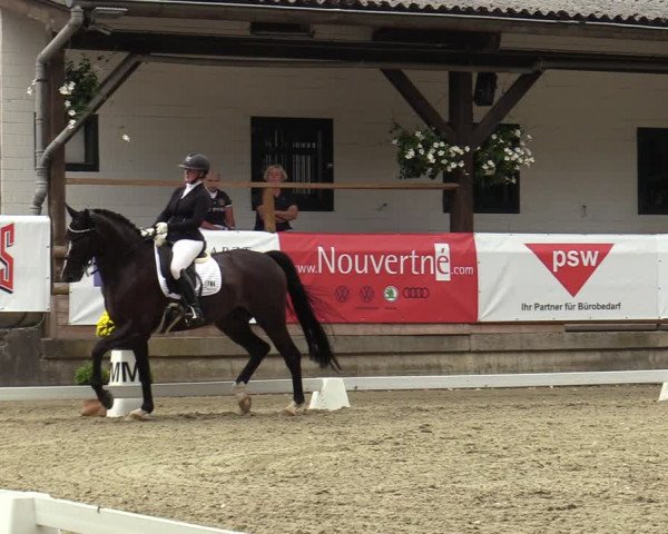 Reitturnier Solingen 2022