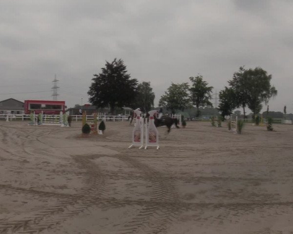Reitturnier Dortmund-Asseln 2022
