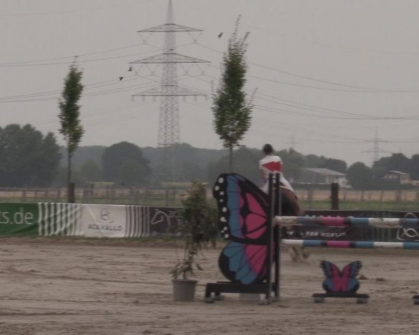 Reitturnier Dortmund-Asseln 2022