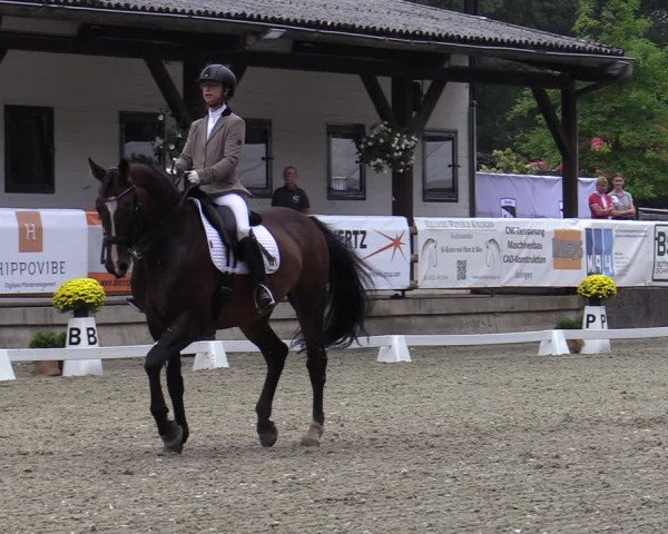 Reitturnier Solingen 2022