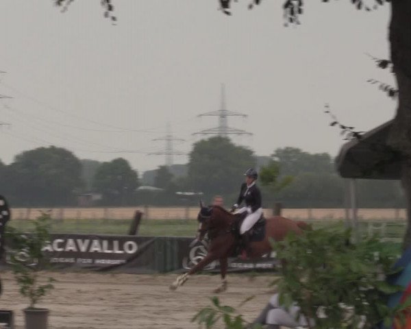Reitturnier Dortmund-Asseln 2022
