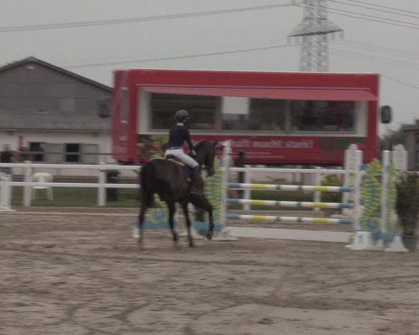 Reitturnier Dortmund-Asseln 2022