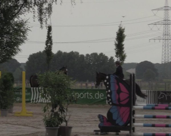 Reitturnier Dortmund-Asseln 2022
