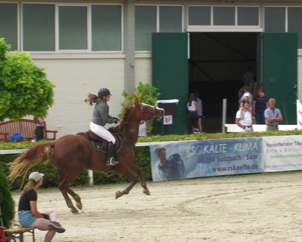 Reitturnier St.Wendel, Gestüt Welvert 2022