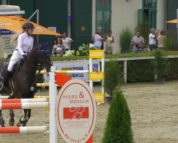 Reitturnier St.Wendel, Gestüt Welvert 2022