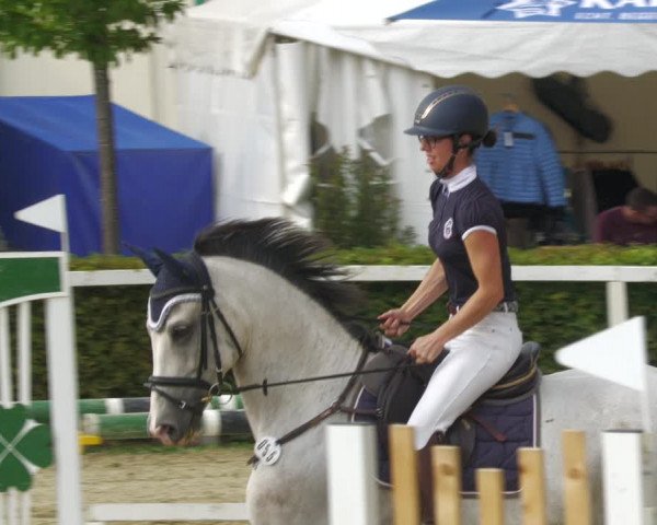Reitturnier St.Wendel, Gestüt Welvert 2022