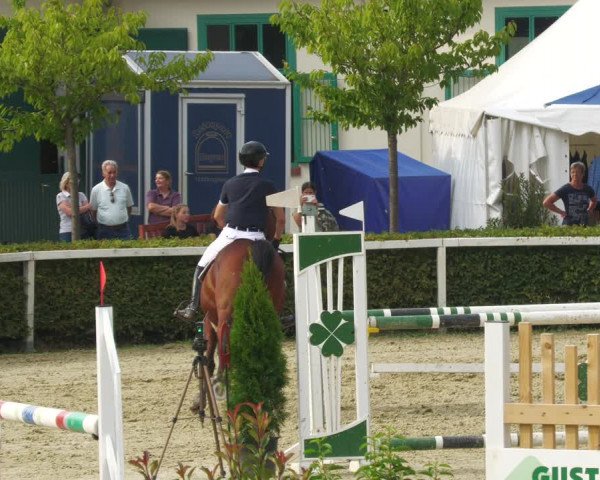 Reitturnier St.Wendel, Gestüt Welvert 2022