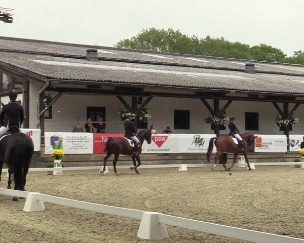 Reitturnier Solingen 2022