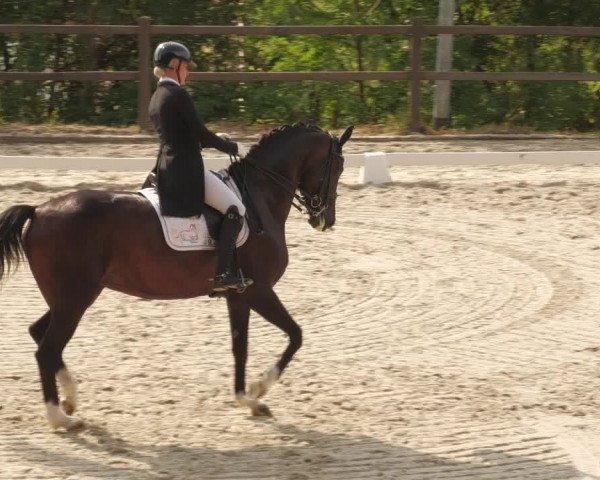 Reitturnier Bübinger Hof 2022