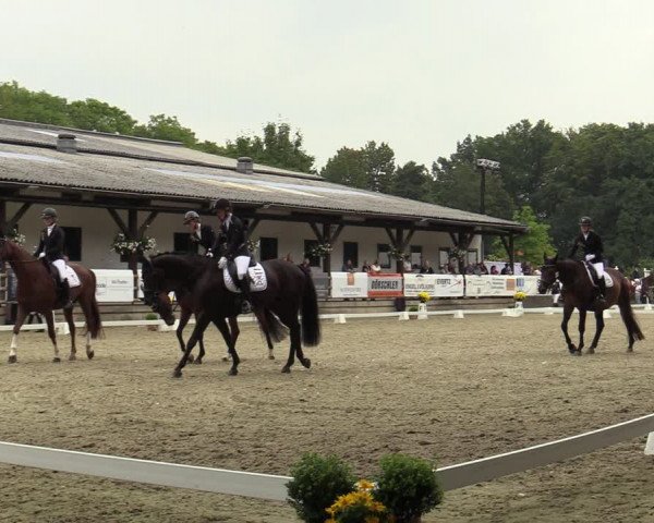 Reitturnier Solingen 2022
