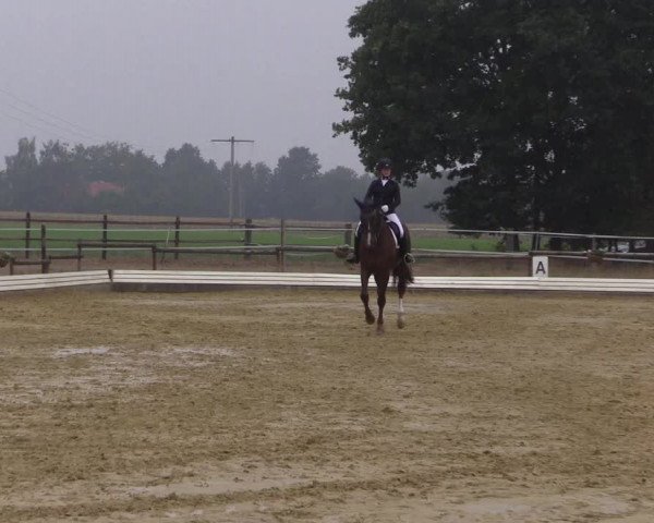 Reitturnier Ostbevern 2022