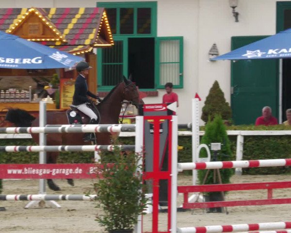 Reitturnier St.Wendel, Gestüt Welvert 2022