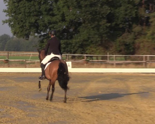 Reitturnier Ostbevern 2022