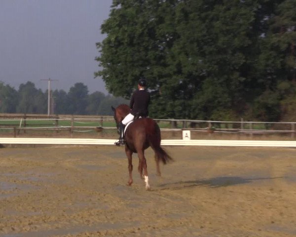 Reitturnier Ostbevern 2022