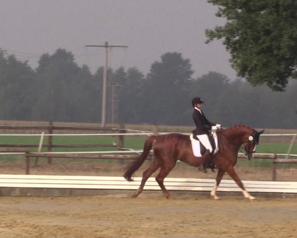 Reitturnier Ostbevern 2022