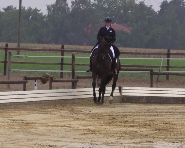 Reitturnier Ostbevern 2022
