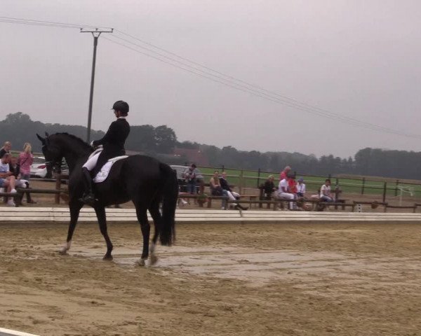 Reitturnier Ostbevern 2022