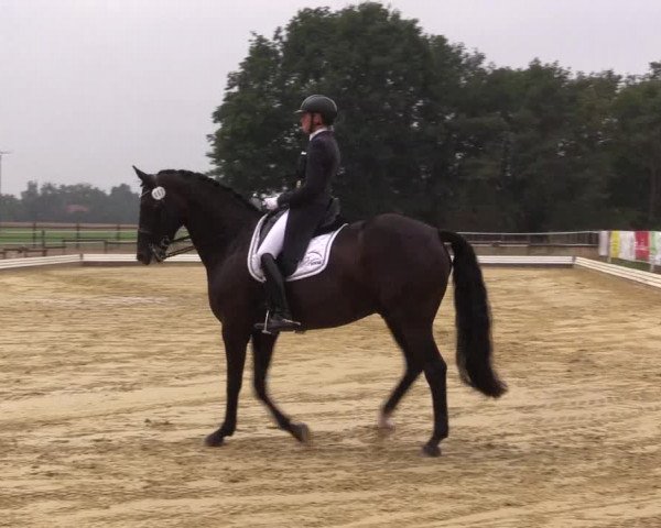 Reitturnier Ostbevern 2022