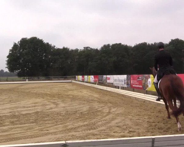 Reitturnier Ostbevern 2022