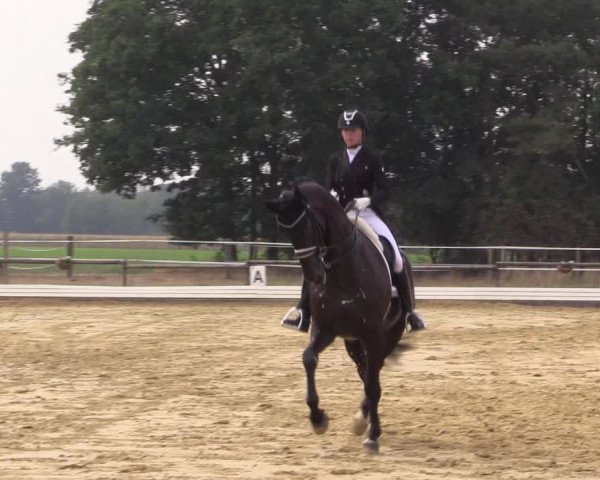 Reitturnier Ostbevern 2022