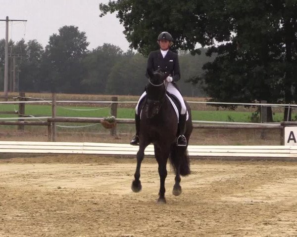 Reitturnier Ostbevern 2022