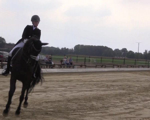 Reitturnier Ostbevern 2022