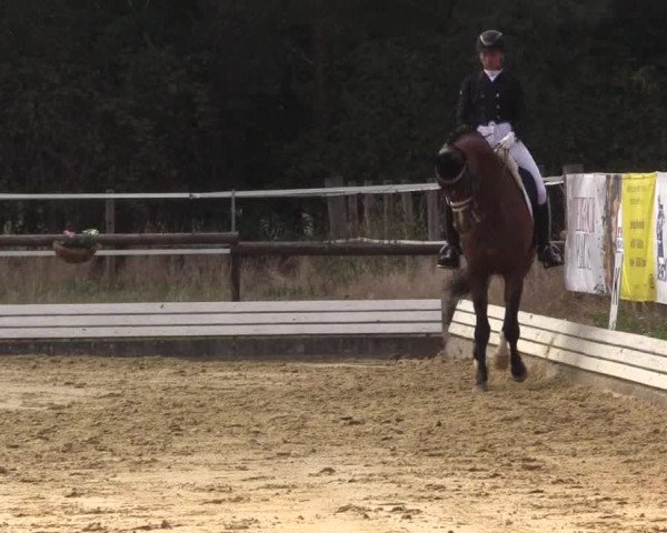 Reitturnier Ostbevern 2022