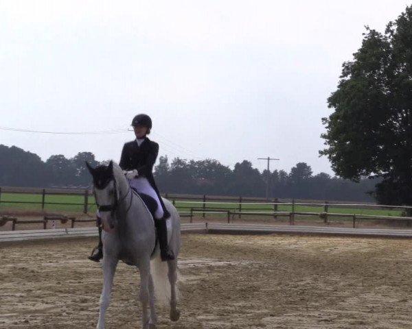 Reitturnier Ostbevern 2022