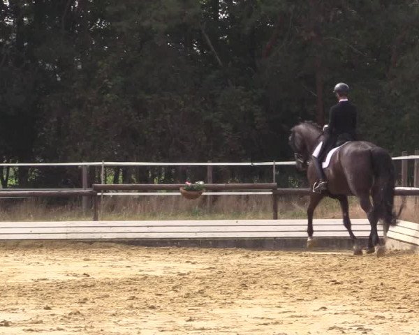 Reitturnier Ostbevern 2022
