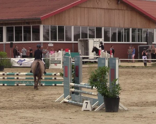 Reitturnier Werne 2022
