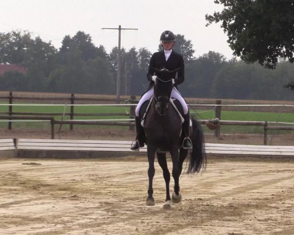 Reitturnier Ostbevern 2022
