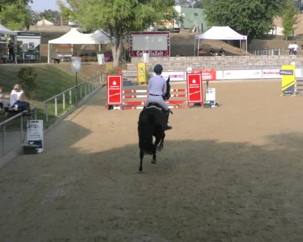 Reitturnier Duderstadt 2022