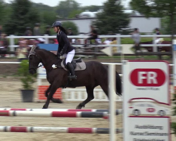Reitturnier Werne 2022