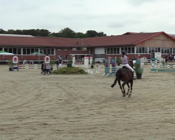 Reitturnier Werne 2022
