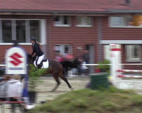 Reitturnier Werne 2022