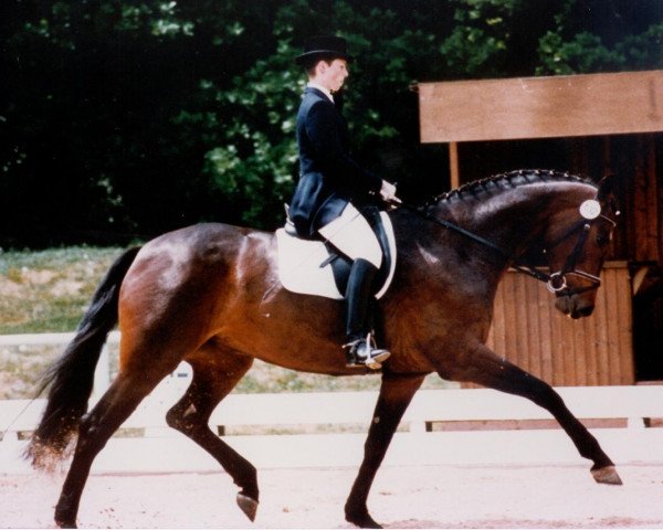 broodmare Rio's Romance (Bavarian, 1988, from Rio Negro)