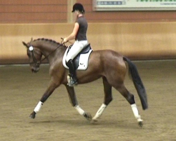 broodmare Fernanda 12 (Rhinelander, 2006, from Fidertanz)